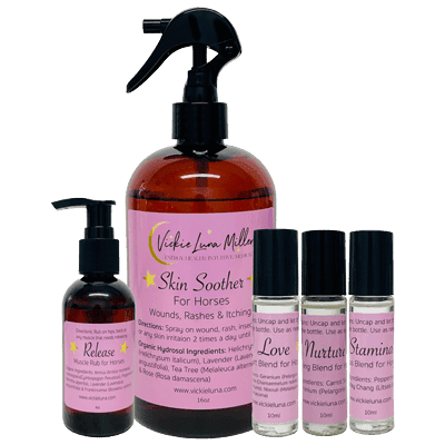 Horse Care Shop by Vickie Luna